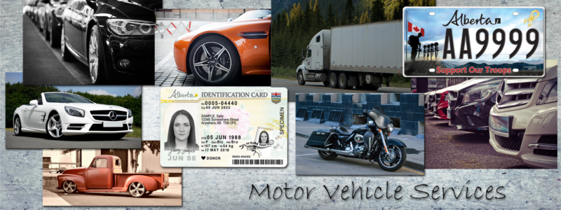 Motor Vehicles